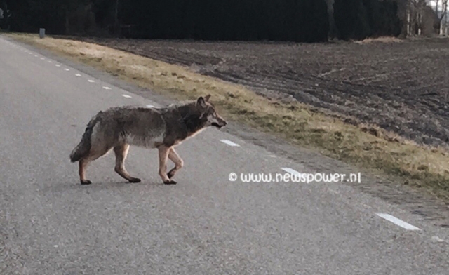 IMG-20150307-WA0018 2